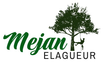 elagage-mejan-elagueur